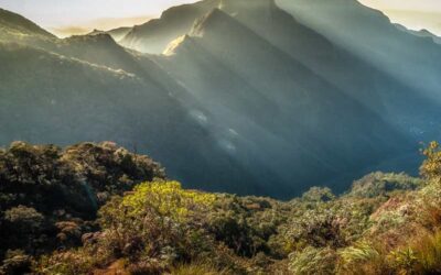 Horton Plains