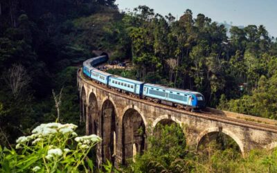 Train Tours in Sri Lanka – A Journey Through Paradise by Rail