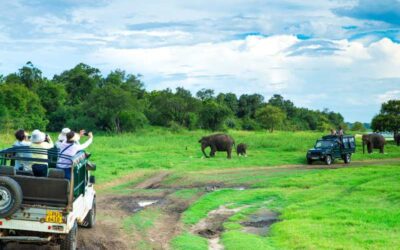 Minneriya National Park